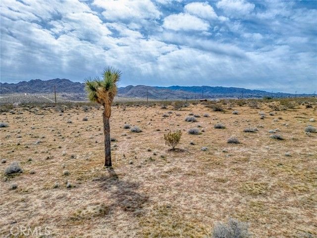 147 Little Road, Joshua Tree, CA 92252