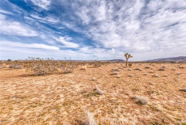 147 Little Road, Joshua Tree, CA 92252