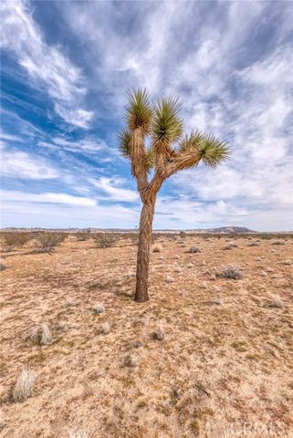147 Little Road, Joshua Tree, CA 92252