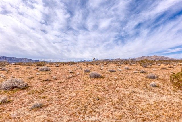 147 Little Road, Joshua Tree, CA 92252
