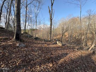 16100 Flags Road, Saint Paul, VA 24283