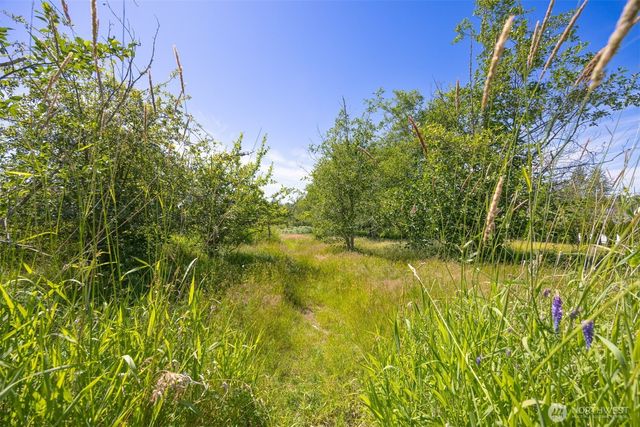 2802 Mt Baker Highway, Bellingham, WA 98226
