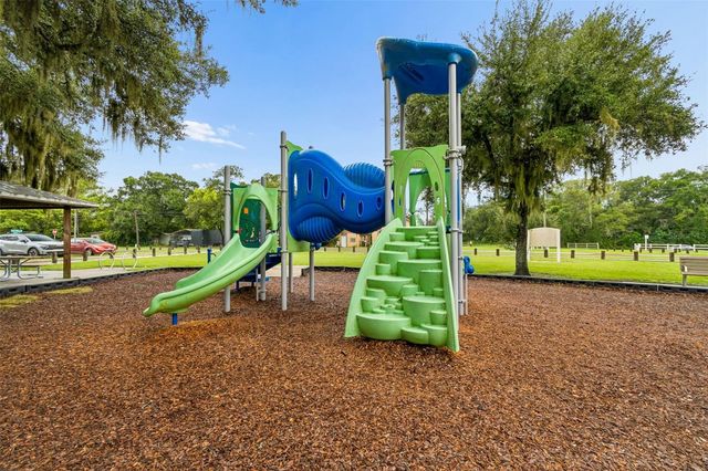 9003 SCOTT WILSON LANE, Odessa, FL 33556