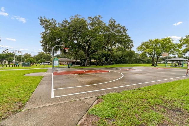 9003 SCOTT WILSON LANE, Odessa, FL 33556
