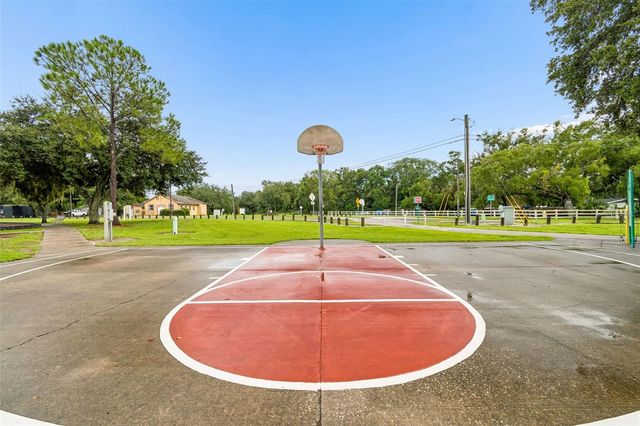 9003 SCOTT WILSON LANE, Odessa, FL 33556