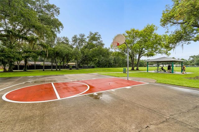 9003 SCOTT WILSON LANE, Odessa, FL 33556