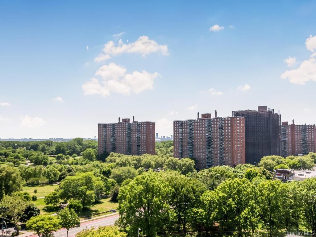 920 Metcalf Avenue 14J, Bronx, NY 10473 — photo 5