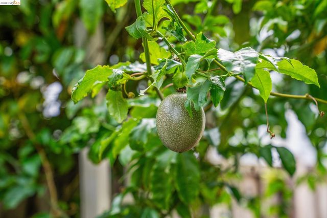 2761 Martin Luther King Jr Ave, Richmond, CA 94804