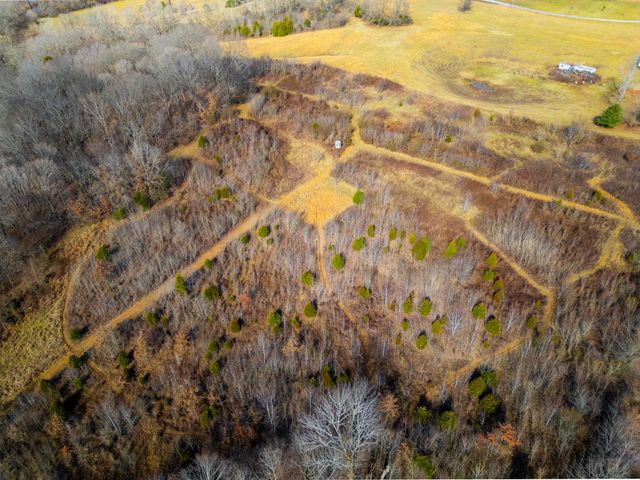 0 Buzzard Creek Road, Cedar Hill, TN 37032