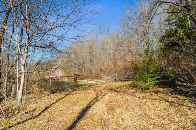 0 Buzzard Creek Road, Cedar Hill, TN 37032