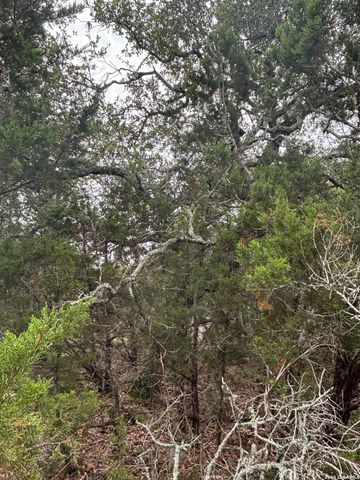 1328 POWDER RIDGE RD, New Braunfels, TX 78132
