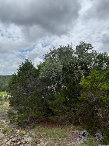 1328 POWDER RIDGE RD, New Braunfels, TX 78132