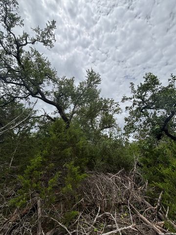 1328 POWDER RIDGE RD, New Braunfels, TX 78132