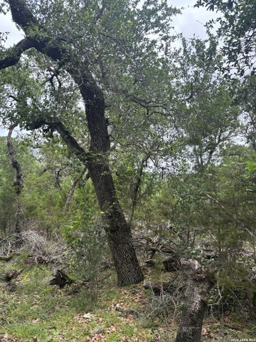 1328 POWDER RIDGE RD, New Braunfels, TX 78132