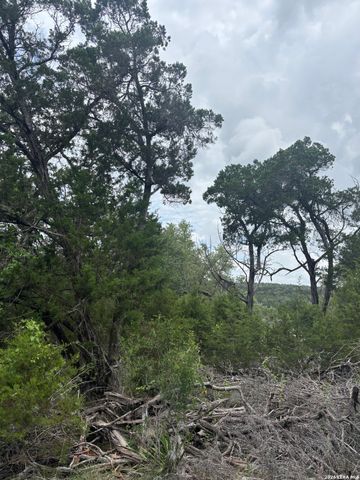 1328 POWDER RIDGE RD, New Braunfels, TX 78132