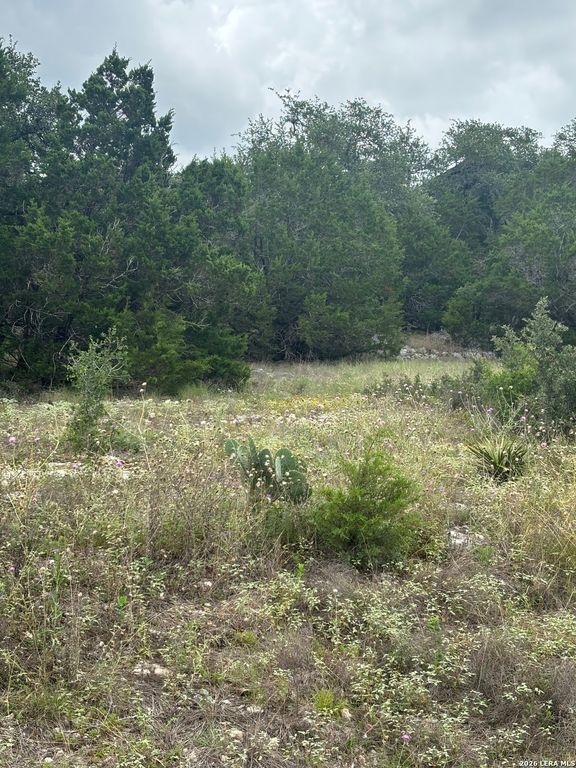 1328 POWDER RIDGE RD, New Braunfels, TX 78132