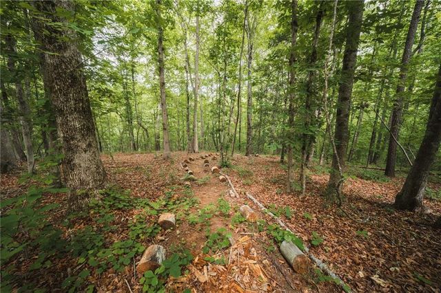 2197 Damascus Road, Ball Ground, GA 30107