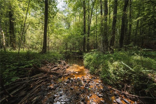 2197 Damascus Road, Ball Ground, GA 30107