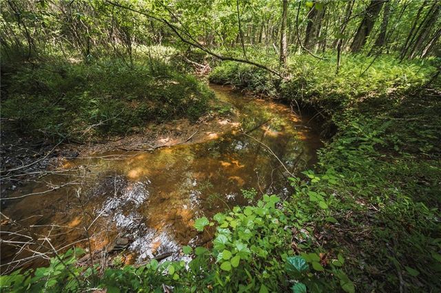 2197 Damascus Road, Ball Ground, GA 30107