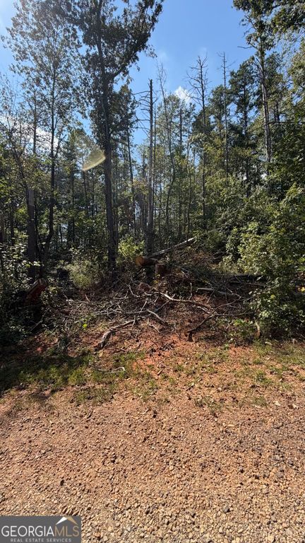 309 Seminole Trail, Martin, GA 30557 — photo 2
