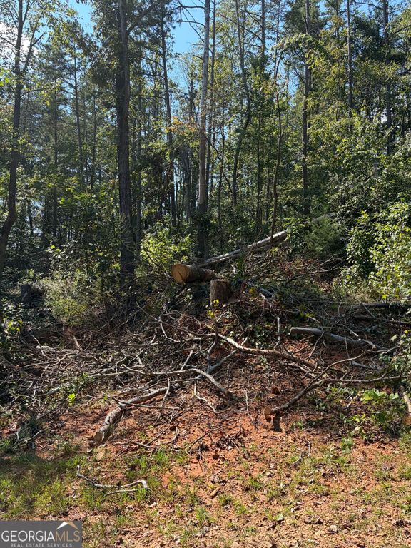 309 Seminole Trail, Martin, GA 30557 — photo 3
