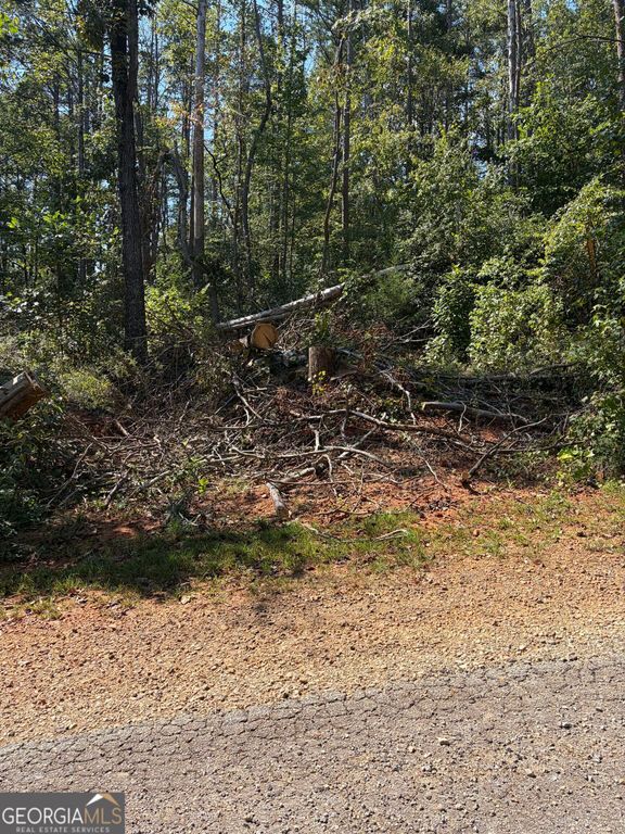 309 Seminole Trail, Martin, GA 30557 — photo 4