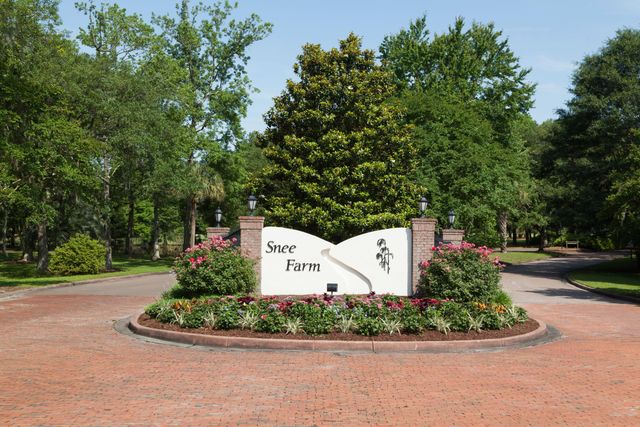 1116 Daffodil Lane, Mount Pleasant, SC 29464