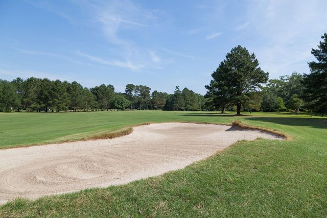 1116 Daffodil Lane, Mount Pleasant, SC 29464