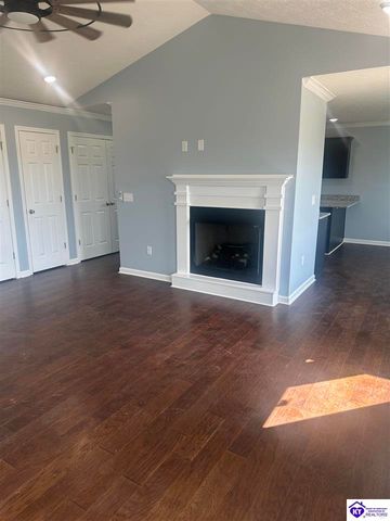 69 Diamond Court, Vine Grove, KY 40175