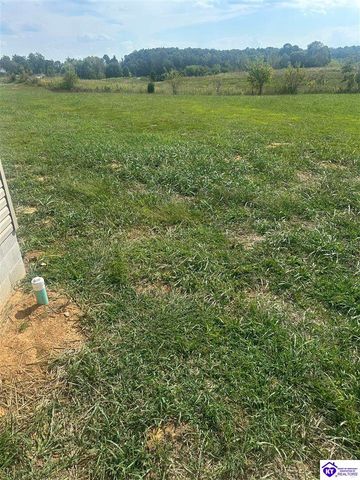 69 Diamond Court, Vine Grove, KY 40175
