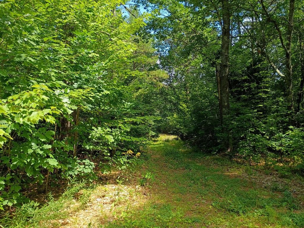 tbd William Knight Road, Windham, ME 04062 — photo 2
