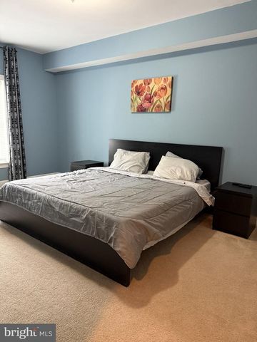 26038 BLACKBERRY KNOLL, Aldie, VA 20105