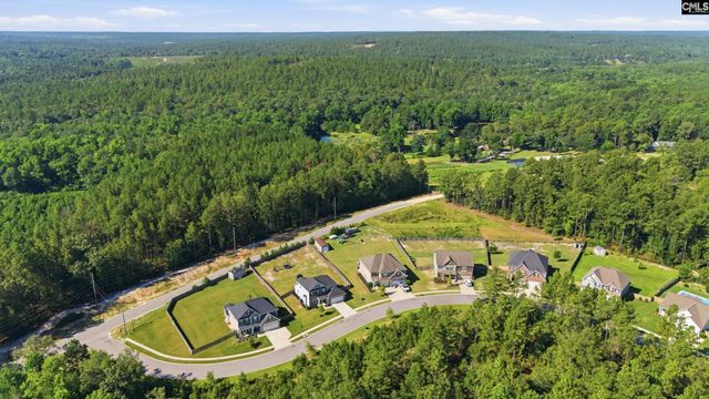 390 Tannery Way, Lexington, SC 29073