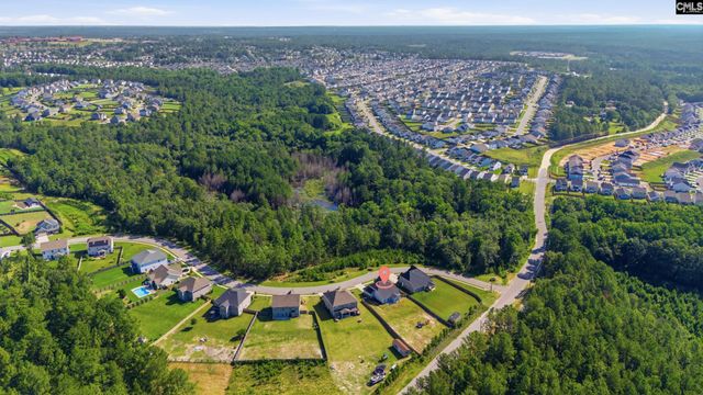 390 Tannery Way, Lexington, SC 29073