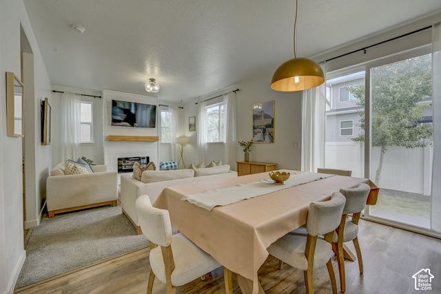 578 N 260 E, Vineyard, UT 84059