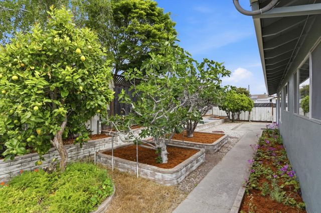 311 Chirco Avenue, Santa Cruz, CA 95065