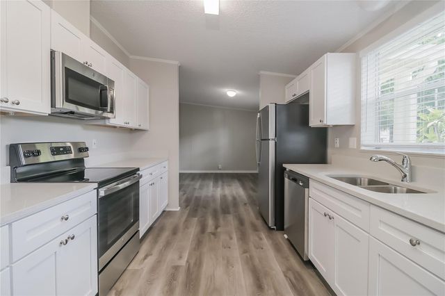 4801 KING LAKE DRIVE, Land O Lakes, FL 34639