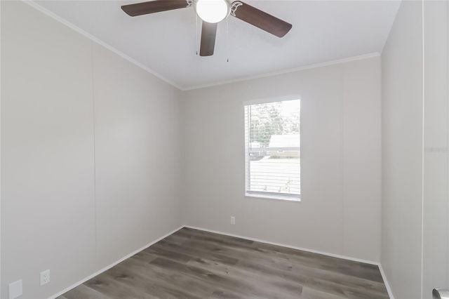 4801 KING LAKE DRIVE, Land O Lakes, FL 34639