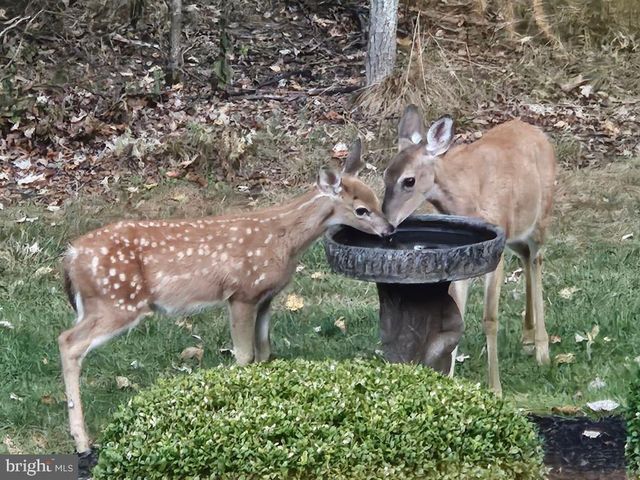 12946 LAKELAND DR, Hesston, PA 16647