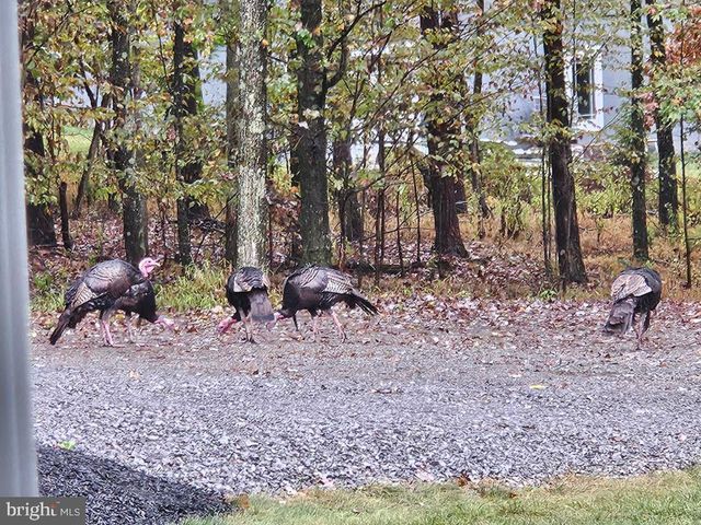 12946 LAKELAND DR, Hesston, PA 16647