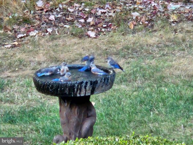 12946 LAKELAND DR, Hesston, PA 16647