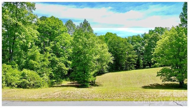 0 Shady Bark Lane 46, Rutherfordton, NC 28139