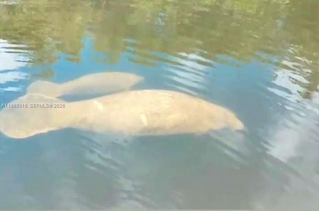 3043 Hayes Street, Hollywood, FL 33021