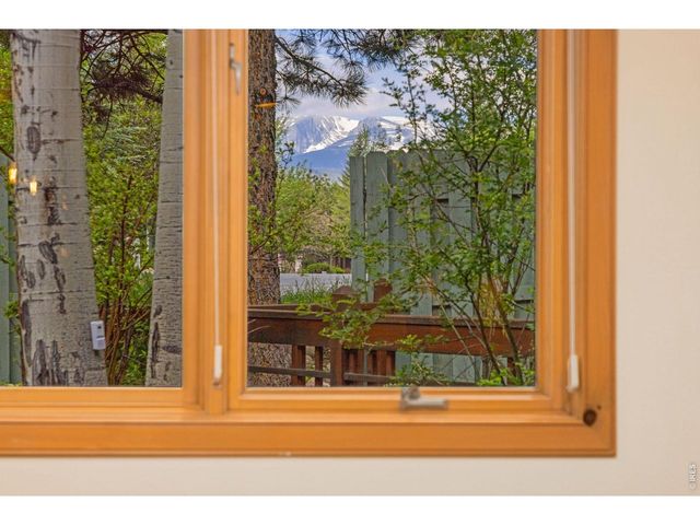 503 Riverrock Cir, Estes Park, CO 80517