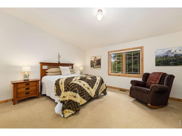 503 Riverrock Cir, Estes Park, CO 80517