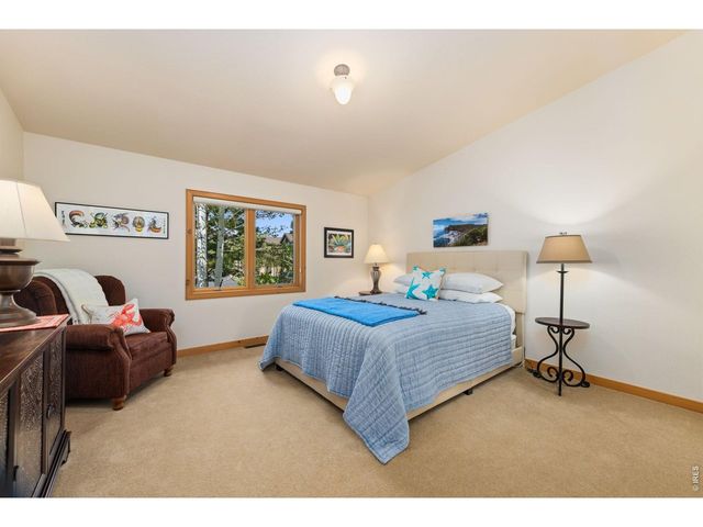 503 Riverrock Cir, Estes Park, CO 80517