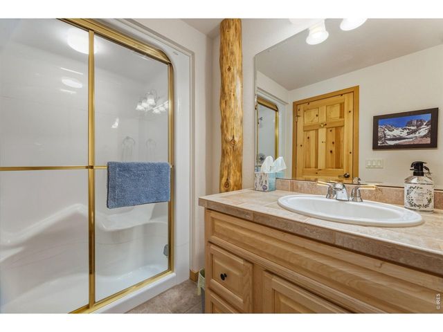 503 Riverrock Cir, Estes Park, CO 80517