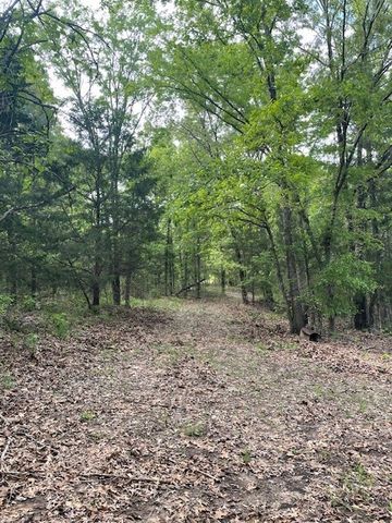325 County Road 2715, Mineola, TX 75773
