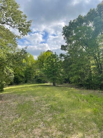 325 County Road 2715, Mineola, TX 75773