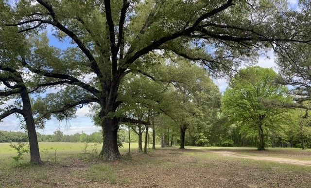 325 County Road 2715, Mineola, TX 75773